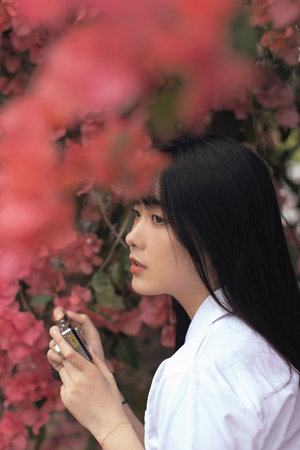 三年全在线观看免费播放第5集