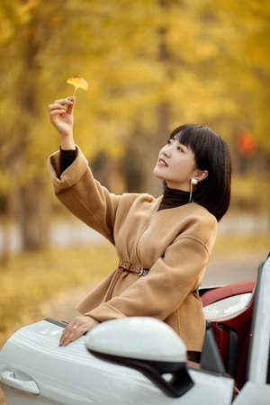 爱的二八定律电视剧