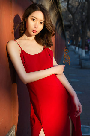 玫瑰花汽车宾馆3