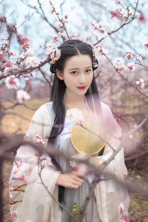 免费在线成人观看