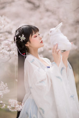 我的老师是传奇电视剧