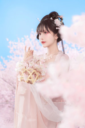 高清一级毛片免免费看
