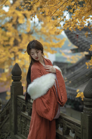 不负如来不负卿第01集