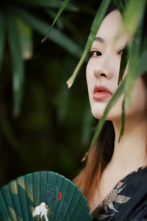 天降女子樱花未增删翻译中文翻译