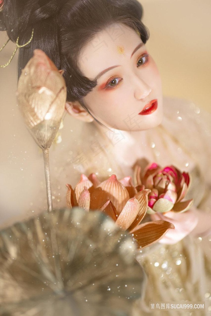 红灯梦2010