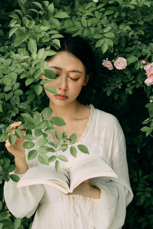 无忧的天堂电视剧