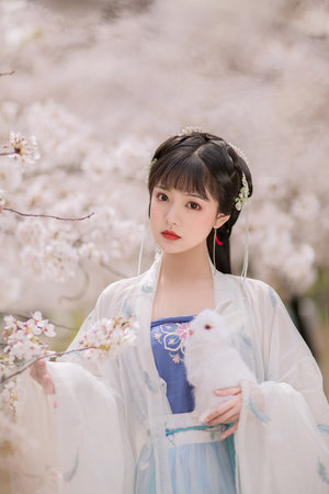 理论大片三在线观看