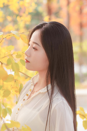 继续的朋友们漫画免费观看全话