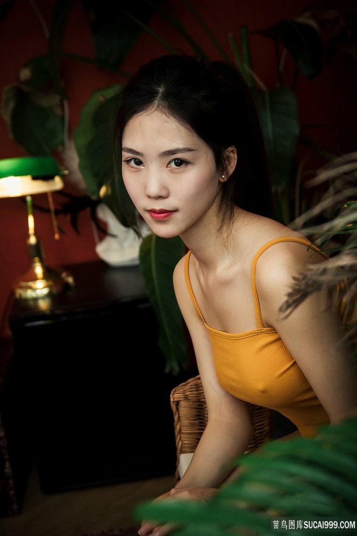 青春禁区视频播放在线观看