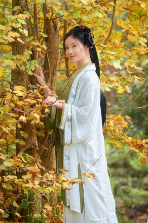 无翼乌全彩漫画