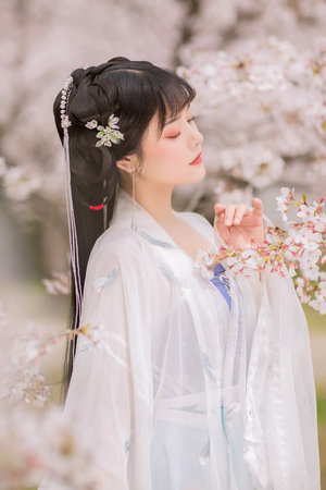 蘑菇影视