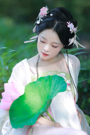 行尸走肉十二集免费播放