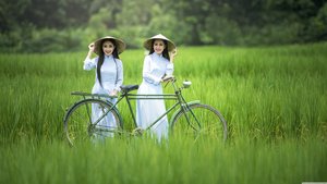 电视剧延安颂