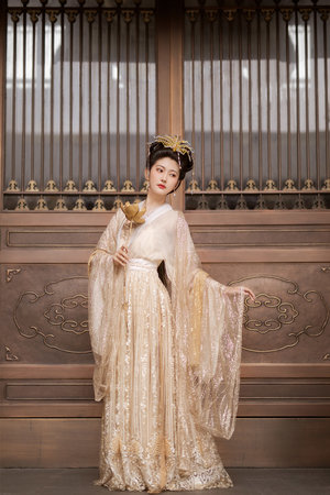 妻子的反击电视剧