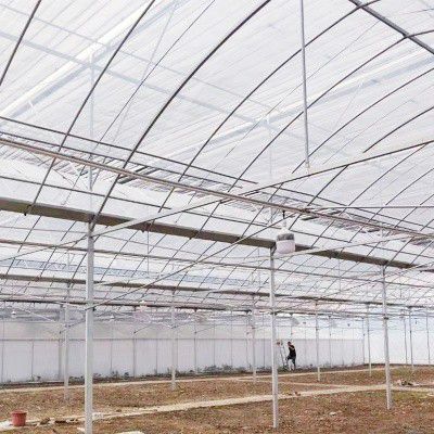 張家川連棟大棚