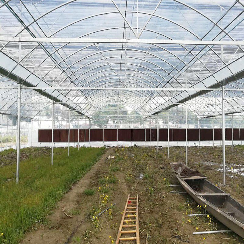 張家川連棟大棚