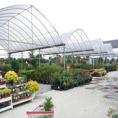 張家川葡萄大棚