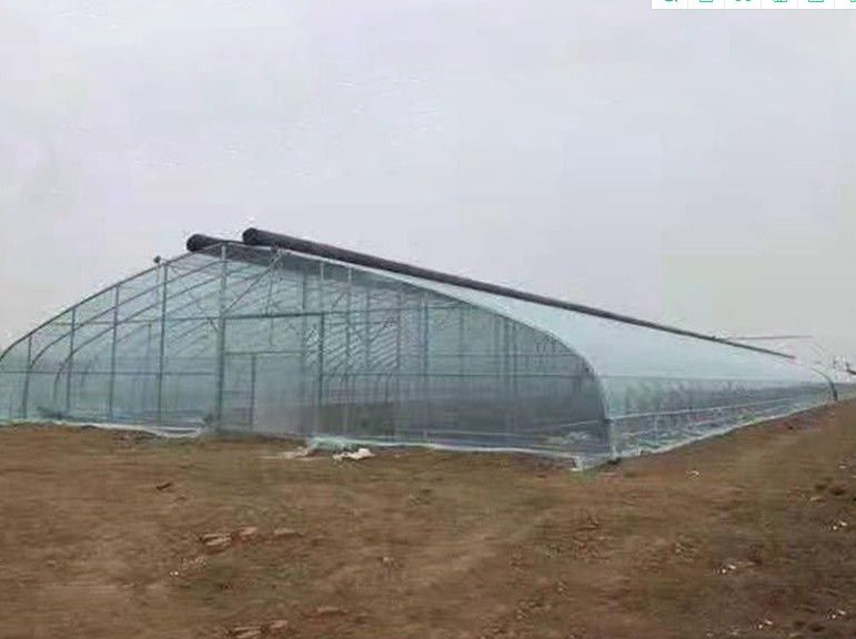 高碑店橢圓管大棚