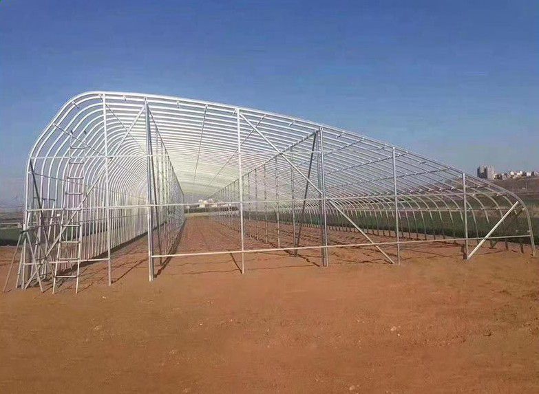 高碑店橢圓管大棚