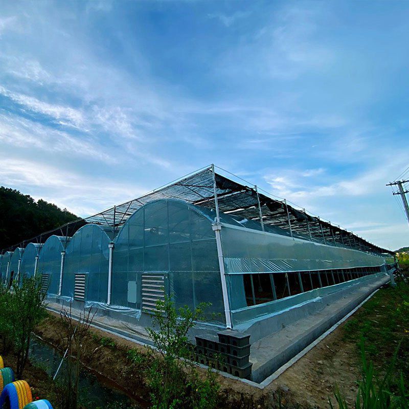 肥西溫室工程