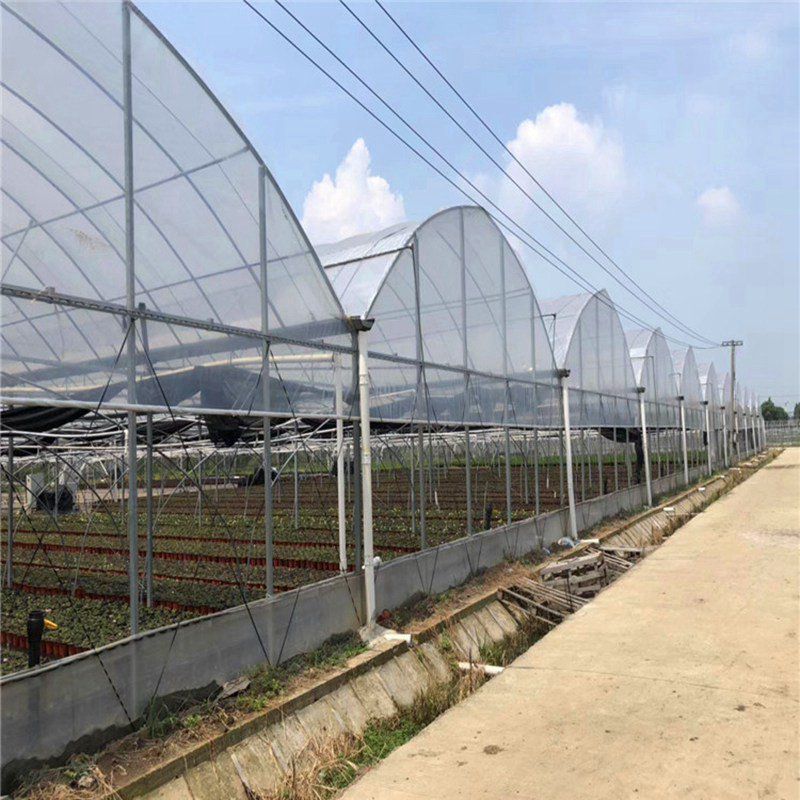 張家川連棟大棚