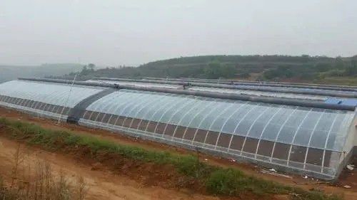 高碑店橢圓管大棚